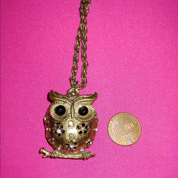 Jewelry - Cute Owl Bronze Plated Long Chain Necklace
